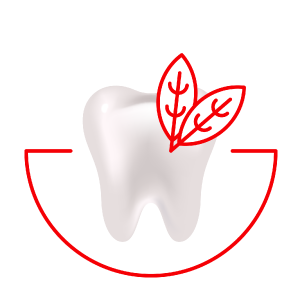 Better Breath